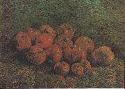 Vincent Van Gogh Still Life with Apples France oil painting artist